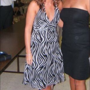 WHBM zebra print cocktail dress